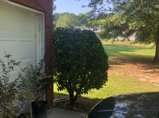 Bush Trimming by Joey Duffy for Cora C. in Hampton, GA