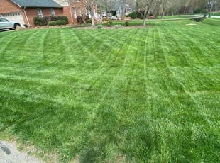 Jessica R.'s Lawn Service service result