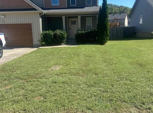 Paula J.'s Lawn Mowing service result