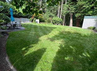 Jack P.'s Lawn Mowing Service service result