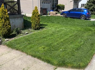 Thomas P.'s Lawn Mowing service result