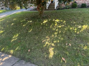 Jeremy M.'s Lawn Care service result