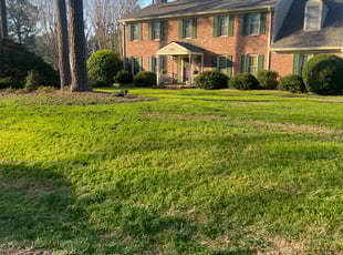 Chue V.'s Lawn Mowing Service service result