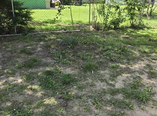 Leaf Removal by Chad Suenram for Martha L. in Wichita, KS