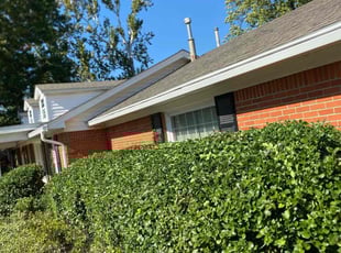 Bush Trimming by Joey Handley for Barbara A. in Tulsa, OK