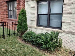 Bush Trimming by Allan Roberts for Will S. in Washington, DC
