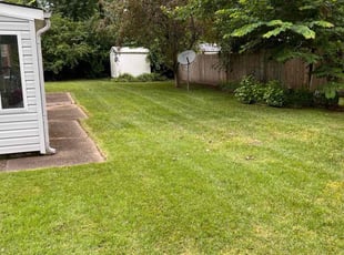 Thomas W.'s Lawn Service service result