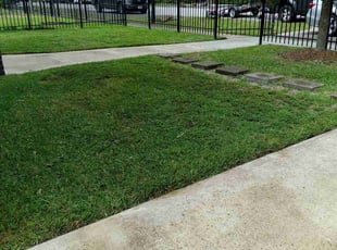 Jerry J.'s Yard Cutting service result