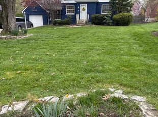 Allinda H.'s Lawn Service service result