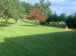 Candace H.'s Lawn Maintenance service result