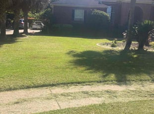 Deanna D.'s Grass Cutting service result