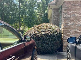 Bush Trimming by Christina Slaughter for Angie S. in Locust Grove, GA