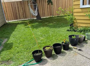 Carol Ann J.'s Lawn Maintenance service result