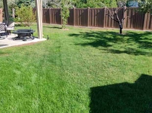 Helen I L.'s Lawn Mowing Service service result