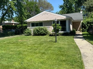Patricia N.'s Lawn Service service result