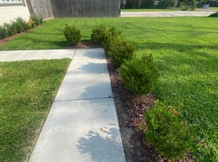 Pam B.'s Grass Cutting service result