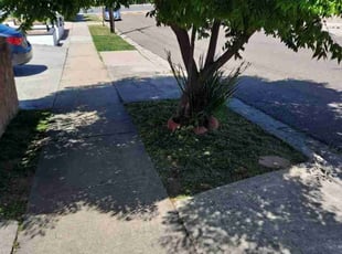 Kerry O.'s Lawn Mowing service result