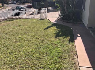 Erin C.'s Lawn Service service result