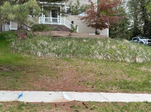Leaf Removal by Joseph Berumen for Ann S. in Norton Shores, MI