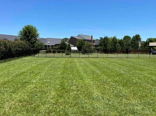 Joe A.'s Lawn Care service result