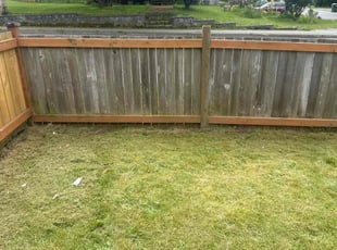 Weeding by Nouri Abdelkader for Justin S. in Lynnwood, WA
