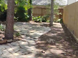 Cleanups by Hector Cruz for Patti S. in Spring, TX