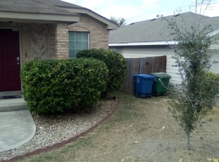 Bush Trimming by Duane Cotton for Simon A. in San Antonio, TX