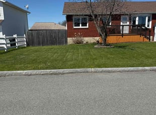 Ann M.'s Lawn Service service result