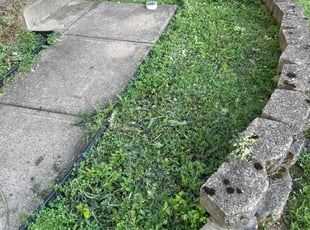 Weeding by Mark Frazier for Kieron C. in Blacklick, OH
