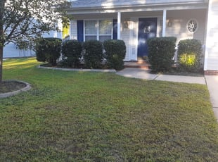 Bush Trimming by Paul Driver for Carlos s. in Greensboro, NC