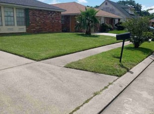 TERENCE D.'s Lawn Care service result