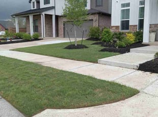 Mike A.'s Lawn Mowing service result