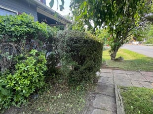 Bush Trimming by Zachary Ballesteros for Robert R. in Edison, NJ
