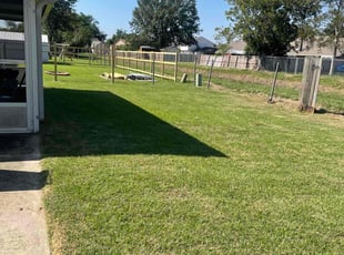 Tyrone S.'s Grass Cutting service result