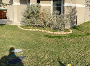 Bush Trimming by Lacy Dixon for Allison M. in Converse, TX