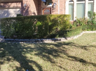 Bush Trimming by Linda Jones for Terrance C. in Houston, TX