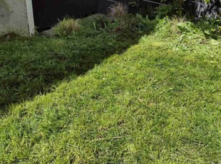 Tiffanie K.'s Lawn Maintenance service result