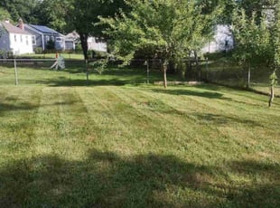 Holly A.'s Lawn Maintenance service result