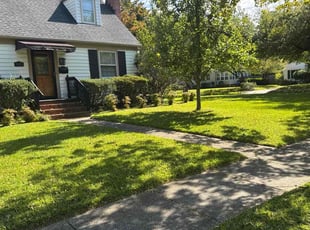 Debra D.'s Lawn Service service result