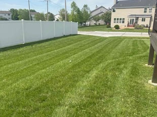 Latisha K.'s Lawn Mowing Service service result