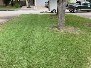 Barbara K.'s Lawn Mowing service result