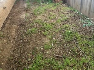 Cleanups by Chase Kellogg for Joseph D. in Norman, OK