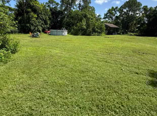 Yvette F.'s Grass Cutting service result