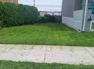 Antonella S.'s Lawn Mowing service result