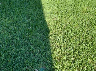 Stephen M.'s Lawn Care service result