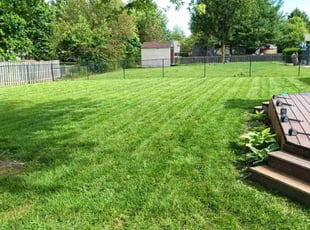 Denise L.'s Yard Cutting service result