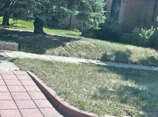 Leaf Removal by Angel DePeralta for Larry T. in Denver, CO