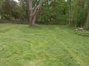 Pat M.'s Lawn Mowing service result