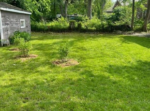 Jay O.'s Lawn Care service result