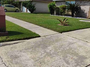 Anthony G.'s Lawn Care service result